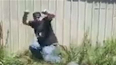 رجل يجر تمساحا ضخما فيقع في شر عمله (فيديو وصور)