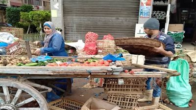 حملات لمواجهة الباعة الجائلين ومنع مكبرات الصوت بالإسكندرية | صور