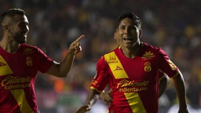 راءول رويدياز: مواجهة فرنسا صعبة وهدفنا تحقيق الفوز