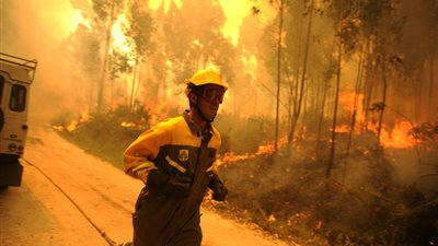 اندلاع حريق غابات في إسبانيا والبرتغال بسبب موجة الحر