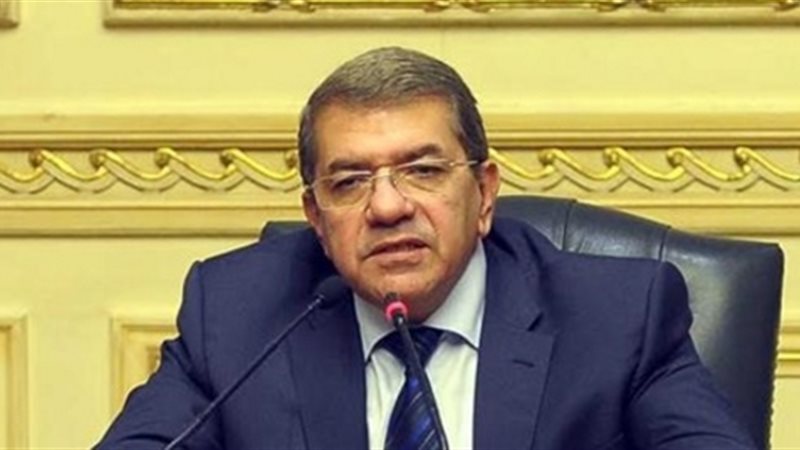  عمرو الجارحى وزير