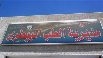 «بيطري الوادي الجديد»: فرق لفحص مزارع الدواجن
