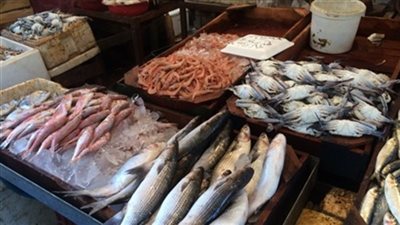 أسعار الأسماك.. البلطى يسجل 28 جنيها بسوق العبور