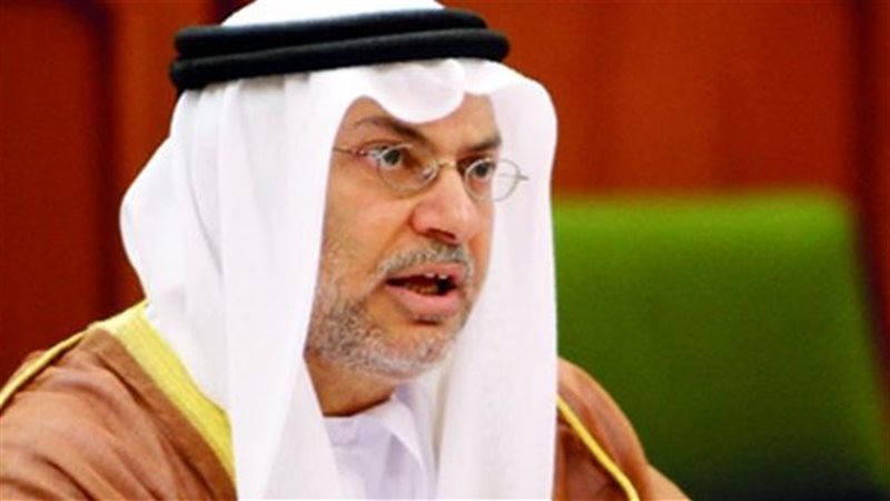 وزير الدولة الإماراتي