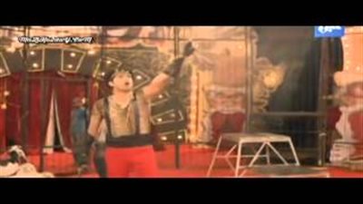 بالفيديو.. على ربيع يعرض أخطر فقرة حيوانات مفترسة في السيرك بـ «لهفة»