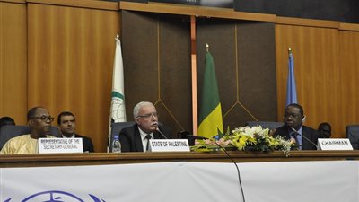 وزير الخارجية الفلسطيني: إسرائيل ماضية في تدمير حل الدولتين