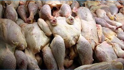 التموين: حملات مشتركة مع الطب البيطري على الدواجن الفاسدة بالأسواق