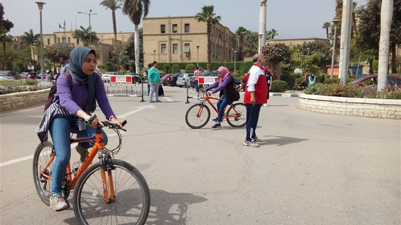 فيتو