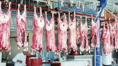 «حماية المستهلك» بالفيوم يكشف مواصفات اللحوم الجيدة