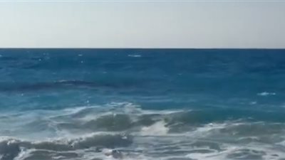 بالفيديو.. حوت الساحل الشمالي يجوب شواطئ «اللوتس»