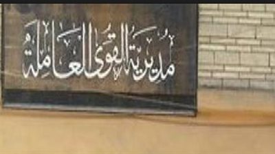 القوى العاملة بالوادي الجديد توفر فرص عمل للشباب