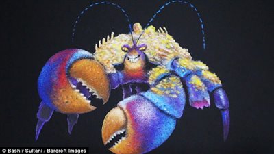 بالفيديو والصور.. فنان يبدع في الرسم بالملح الملون