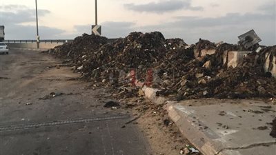 انقلاب سيارة نقل وتعطل حركة السير بأحد الطرق في الدقهلية (صور)