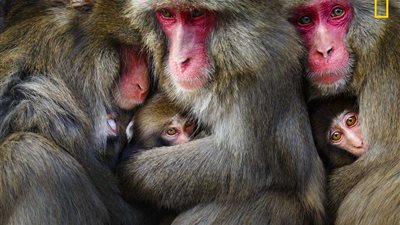 أفضل الصور المرشحة للفوز بجائزة ناشيونال جيوجرافيك للسفر (صور)