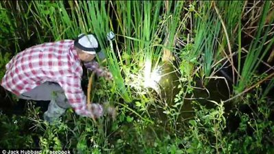 إنقاذ تمساح حاول ثعبان افتراسه (فيديو وصور)