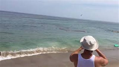 بالفيديو والصور.. قرش يهاجم سباحين على بعد أمتار من شاطئ