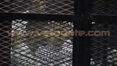 متهمو خلية الجيزة الإرهابية: إحنا مش إرهاب