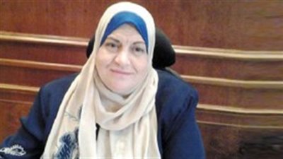 ميرفت حطبة: ارتفاع حركة المبيعات بشركات التجارة الداخلية