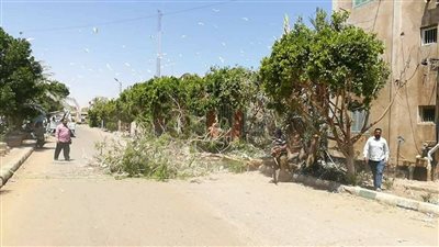 الوادي الجديد: أبو قرادن لم يعد صديقا للفلاح (صور)