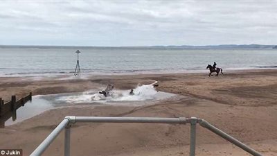 سقوط مروع لحصان في بركة مياه (فيديو وصور)