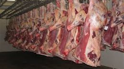 طرح لحوم ضان مستوردة بالوادي الجديد