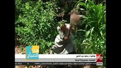 بالفيديو.. «الزراعة»: نعالج مشكلات تصدير الحاصلات الزراعية