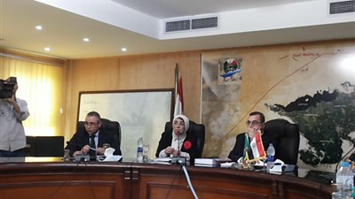 محافظ الفيوم ونائب وزير الصحة يرأسان اجتماع إقليمي السكان