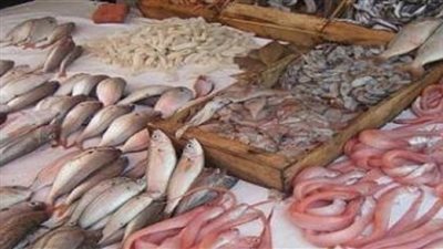 «البلطي» يسجل 14 جنيهًا بسوق العبور.. اليوم