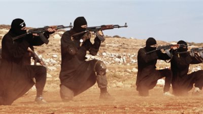 الدفاع السورية: داعش موجودون بأربعة جيوب بسوريا