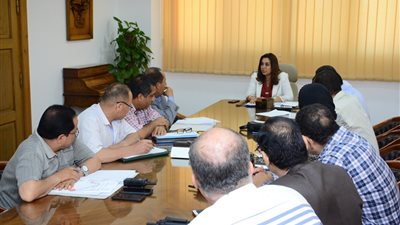 محافظ دمياط: قطع المرافق تدريجيا عن المخالفين عن تطبيق الطلاء الموحد