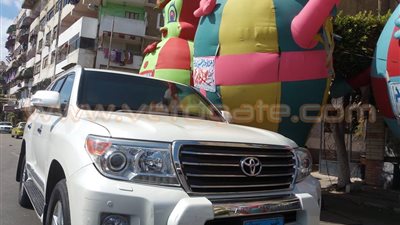 عطل مفاجئ في سيارة محافظ بورسعيد أثناء زيارته دار مسنين