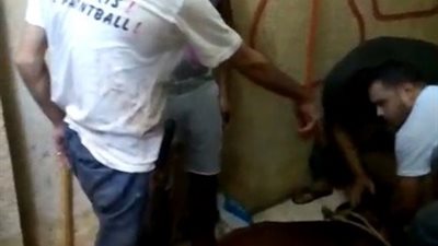 بالفيديو.. «كهربا» يذبح أضحية العيد في مصر القديمة