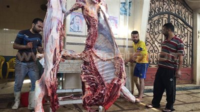 بالفيديو والصور.. تجمع الأهالي أمام المجازر بالإسماعيلية