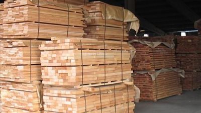 الغرفة التجارية: ارتفاع أسعار الخشب المستورد رغم استقرار الدولار