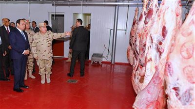 5 معلومات عن جهود السيسي للتنمية الصناعية والزراعية والحيوانية في 2019 