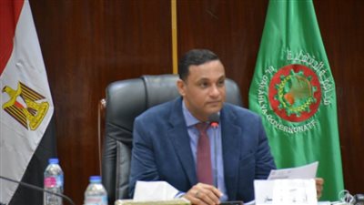 الدقهلية تحتل المركز الثاني بالمشروعات الصغيرة بـ357 مشروعا