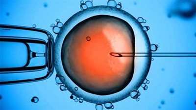 استشاري أطفال أنابيب يقدم أشكال الاختبار للتعرف على مخزون المبيض