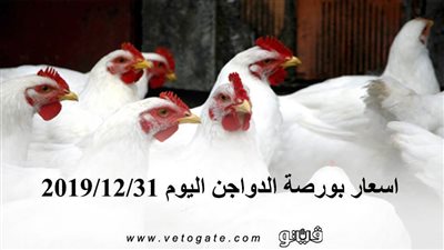 اسعار بورصة الدواجن اليوم 2019/12/31