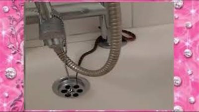 بالفيديو والصور.. ثعبان يفاجئ شابا خلال استحمامه