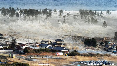 2654 يابانيًا 