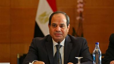 السيسي لرئيس «فيزا»: نتطلع للتعاون معكم وزيادة استثماراتكم في مصر