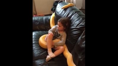 68 مليون مشاهدة لطفلة تشاهد التليفزيون برفقة ثعبان ضخم (فيديو)