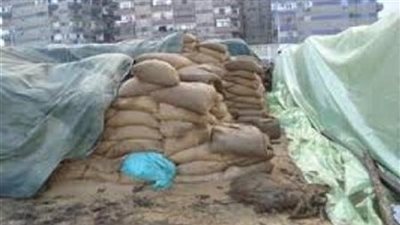 إقالة رئيس مطاحن الفيوم بسبب شحنة قمح فاسدة