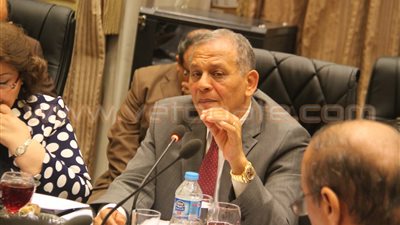 عضو بلجنة حقوق الإنسان بالبرلمان يطالب ببحث أزمة قتل المصريين بالخارج