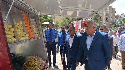 محافظ الوادي الجديد: توفير 10 تروسيكلات للشباب لبيع الخضراوات والفاكهة