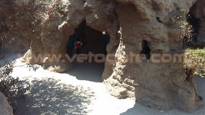 بالصور.. إقبال الأطفال على حديقة الأسماك احتفالا بعيد الأضحى