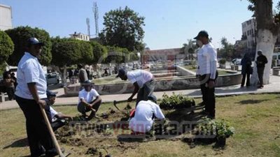 بالفيديو والصور.. تجميل شوارع أسوان