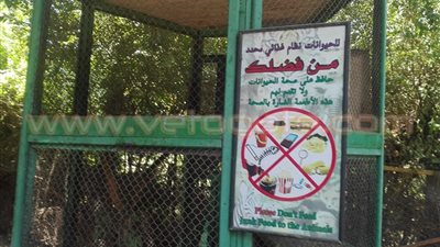 بالصور.. حديقة الجيزة تطالب الزوار بعدم تقديم سجائر للحيوانات