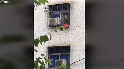 رجل يتسلق واجهة مبنى لإنقاذ طفل (فيديو)