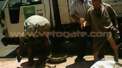 بالصور.. استمرار ترميم أرصفة ميدان الجلاء بالدقي